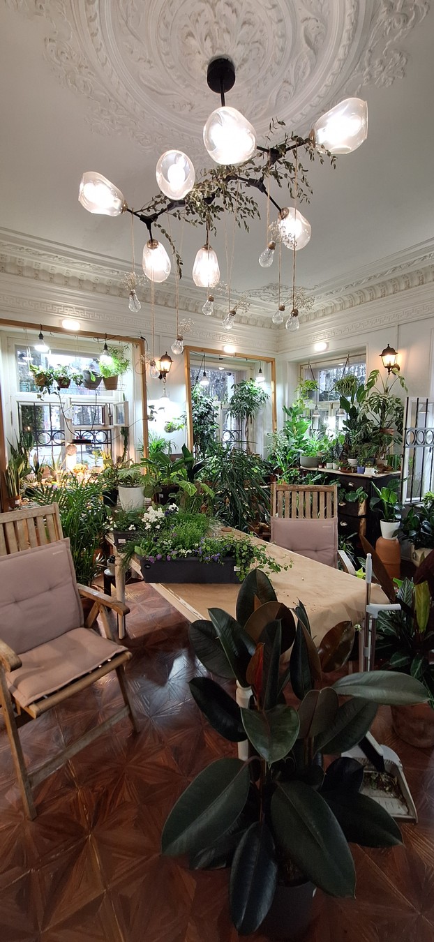 Необыкновенные закоулки Ярославля (7/10)