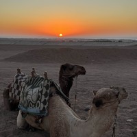 Фото отзыва 1: экскурсия "Рассвет в пустыне + сафари на квадроциклах или багги (всё включено)"