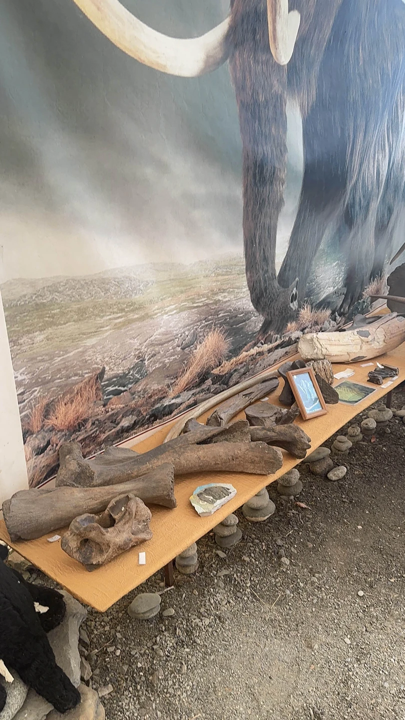 Это было невероятное путешествие! Наш чудесный экскурсовод Радмила, можно сказать просто окунула нас в Чемал, показала