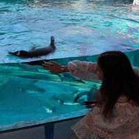 Фото отзыва 3: экскурсия "Сердце и душа Востока: из Дубая — в Абу-Даби"
