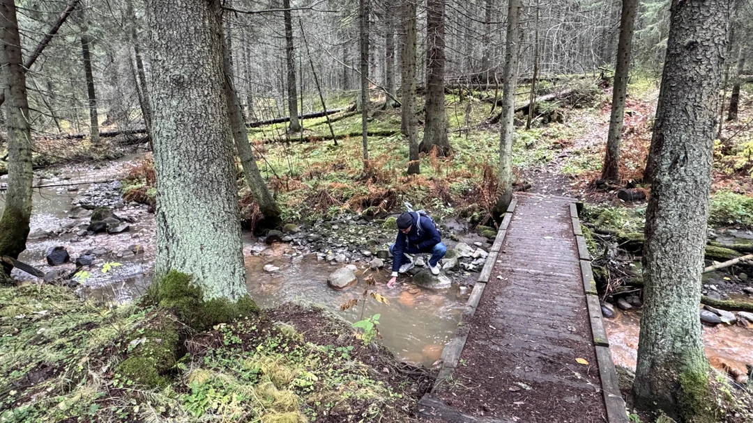 Карелия заповедная: прогулка по экотропе (Светлана)
