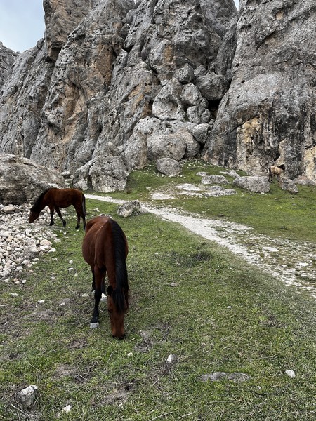 Огромное спасибо Туралу за великолепно проведенный день в окрестностях Баку. Спасибо за рассказ об уникальном розовом