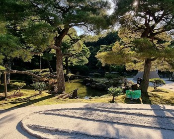 Серебряный Павильон, музей TeamLab, ворота тории, район гейш Гион