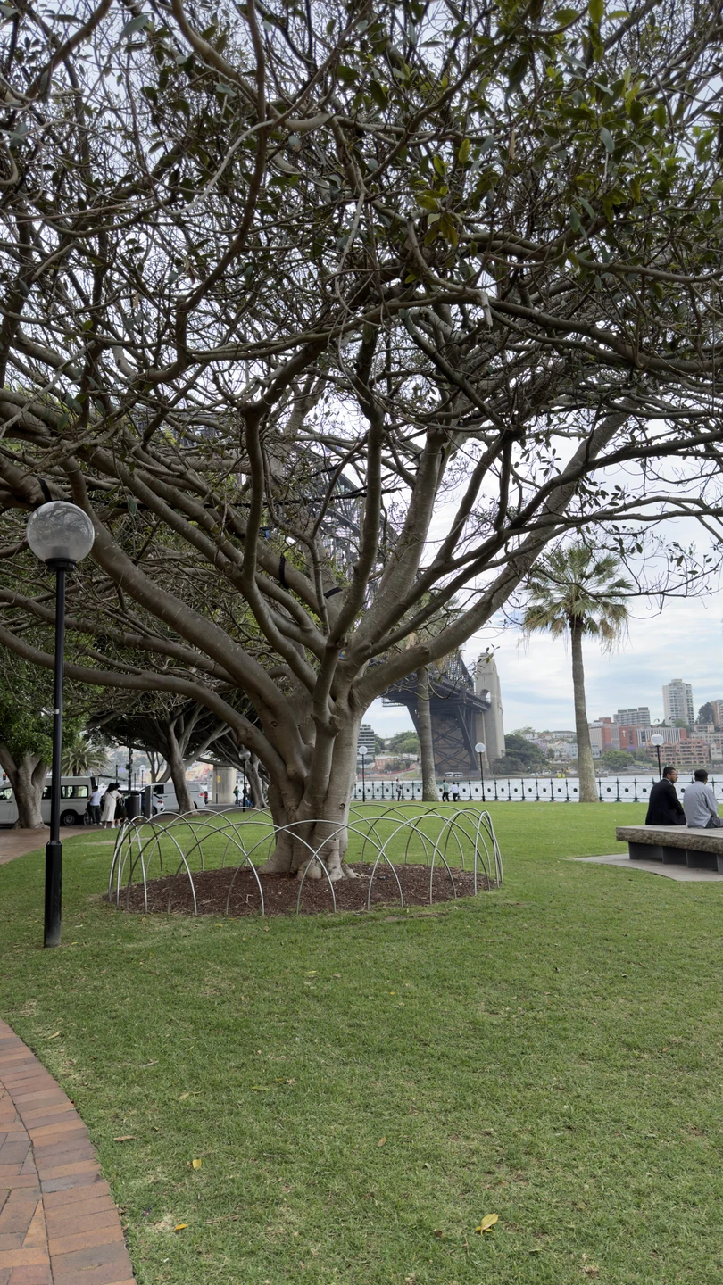 Экскурсия прошла на одном дыхании! Мы получили много рекомендаций по поводу отпуска, прогулялись красивым маршрутом, а