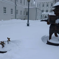 Фото отзыва 2: экскурсия "Казань — Петербург: два города — одна душа"