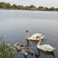 Фото отзыва 1: экскурсия "Памятники ЮНЕСКО в Несвиже"