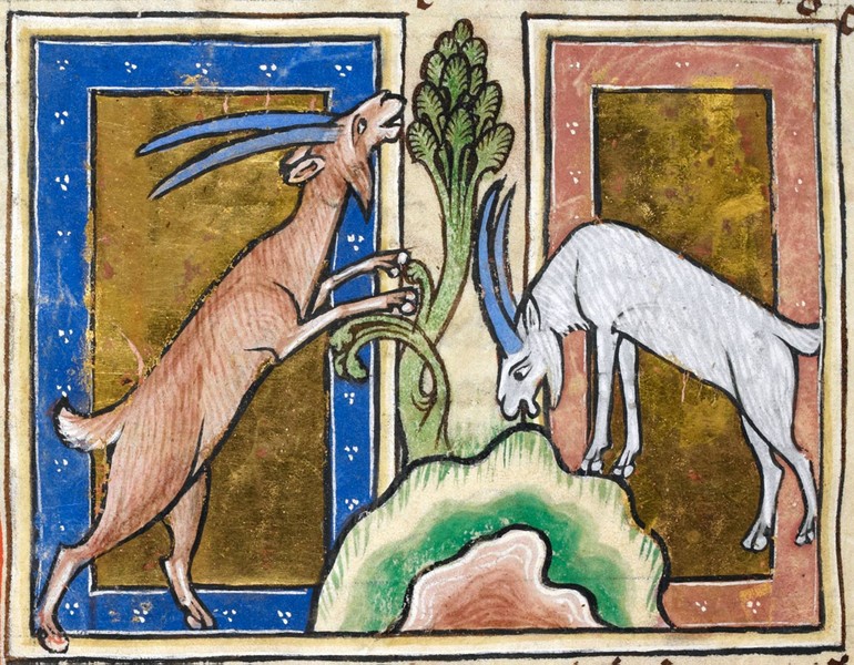 Архитектурный фотоквест в Москве «Бестиарий Чертолья»