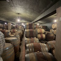 Фото отзыва 1: экскурсия "Стелленбош и Франшхук: гастропутешествие по винодельням Западного Кейпа 18+"