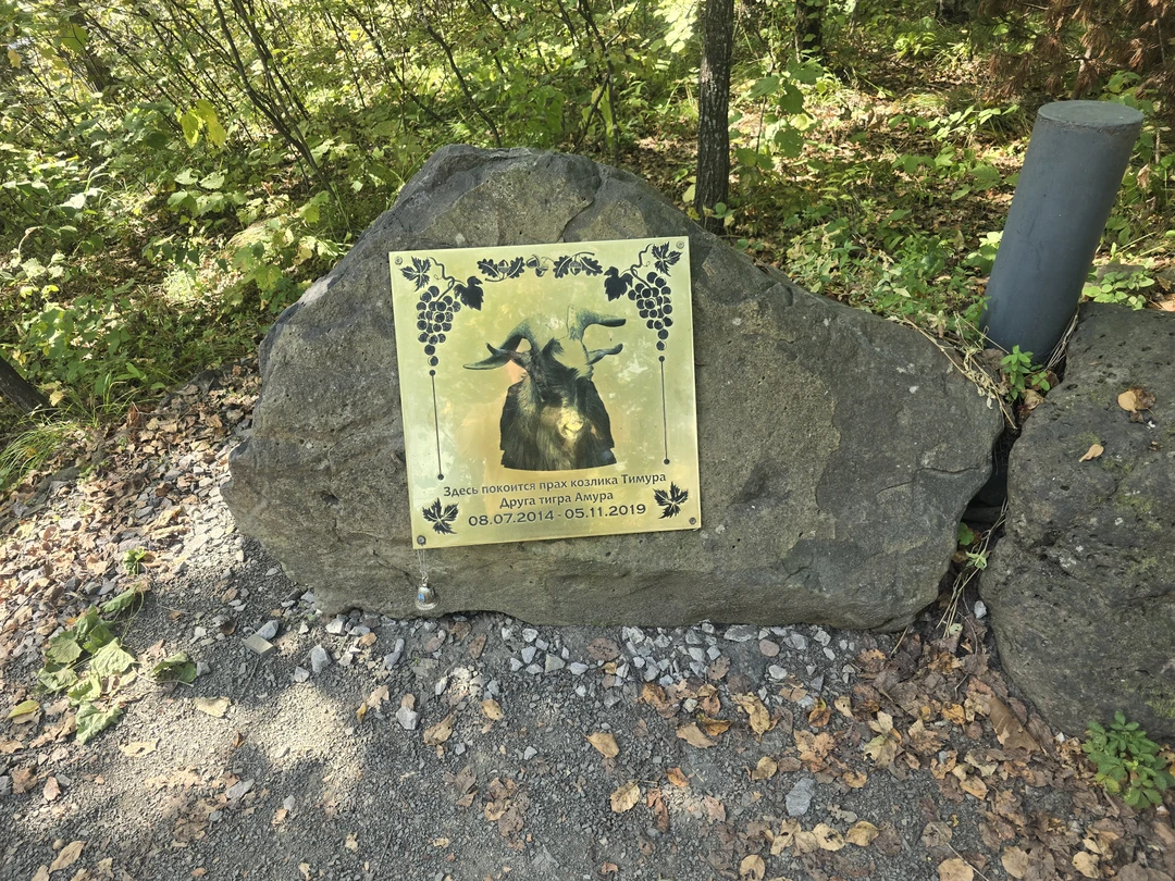 Гид/экскурсовод Анастасия