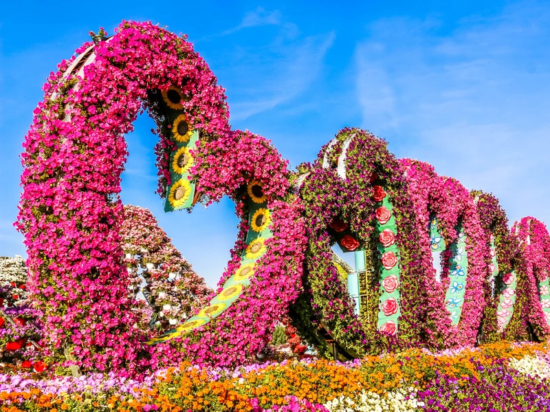 Сад чудес и Сад бабочек