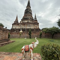 Фото отзыва 1: экскурсия "Из Бангкока в Аюттайю — изучать храмы"