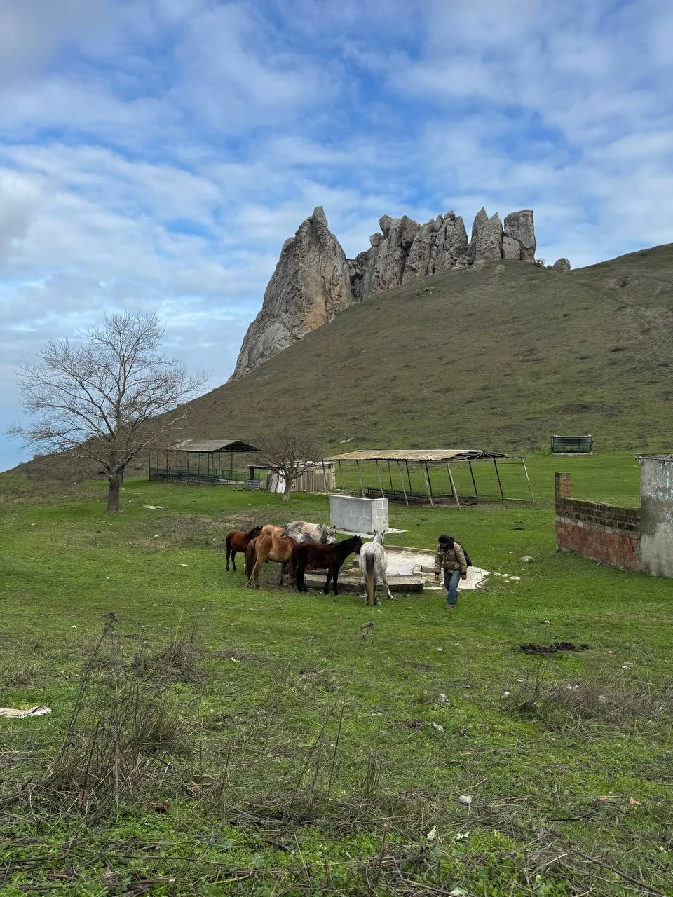В последний момент отказалась вторая участница экскурсии и я осталась одна. Сказать, что испугалась - ничего
