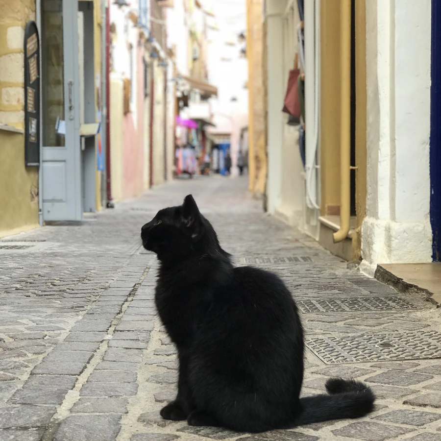 Секретная Ханья