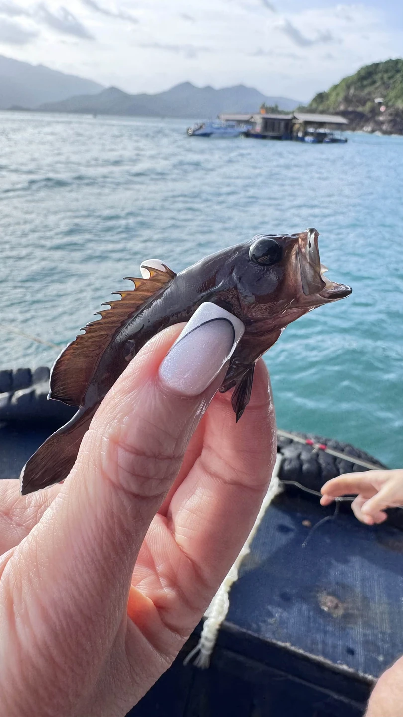 Морское путешествие в Нячанге (всё включено) (Юлия)