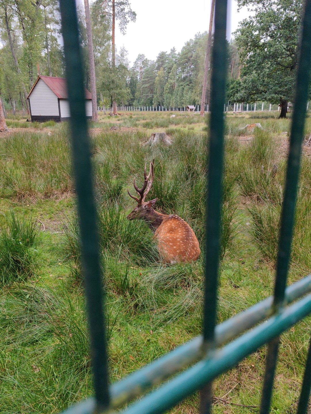 Жанна безумно талантливый гид и очень приятный человек. На протяжении дня и в дороге и на