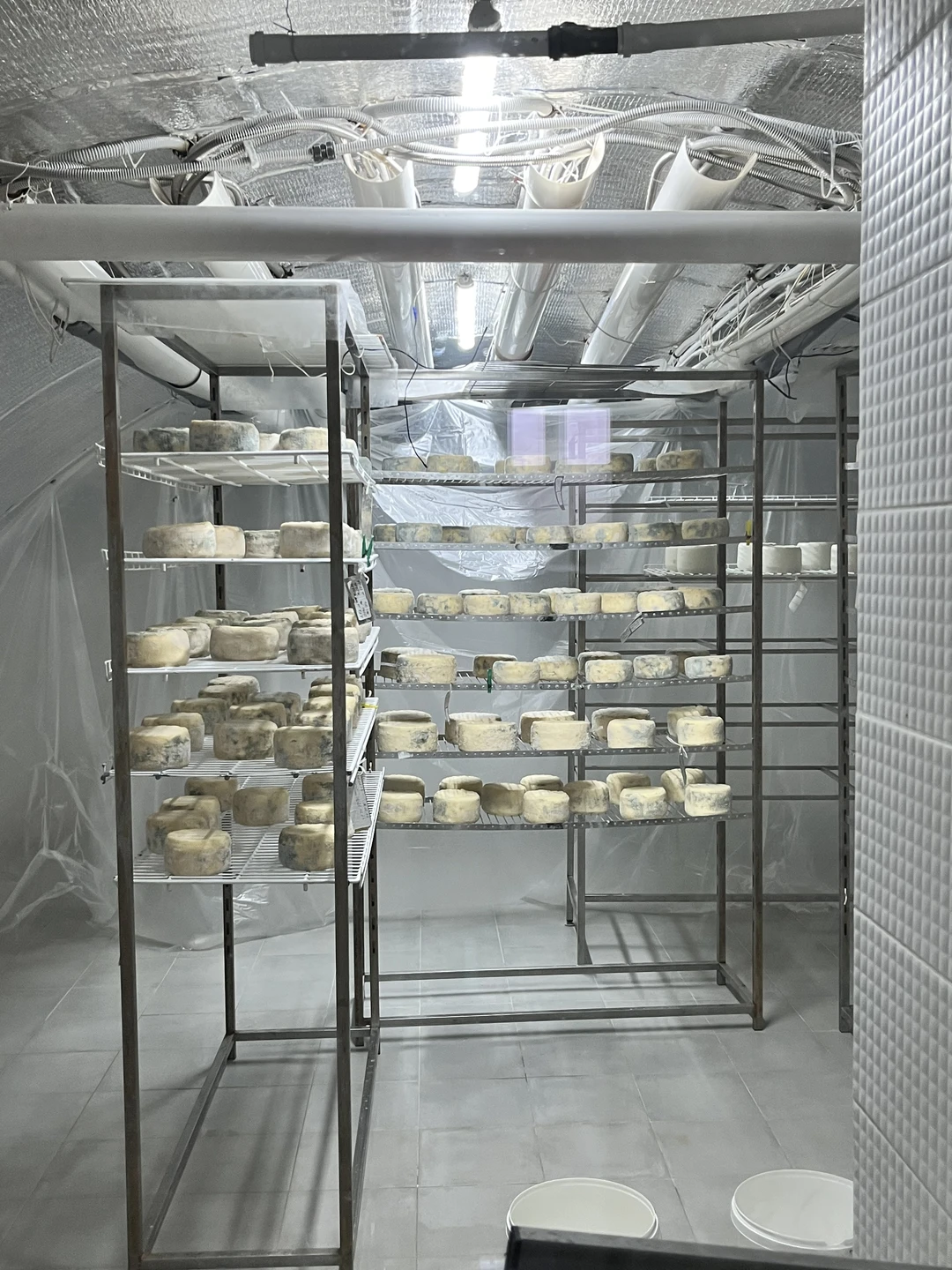 Были в Костроме первый раз, так как это сырная столица России, не было сомнений, куда сходить