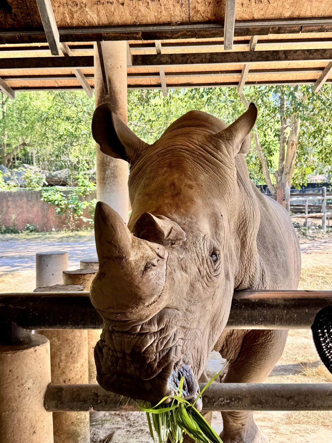 Экскурсия в зоопарк очень понравилась! За 4 часа мы успели посмотреть кажется всех животных, море впечатлений