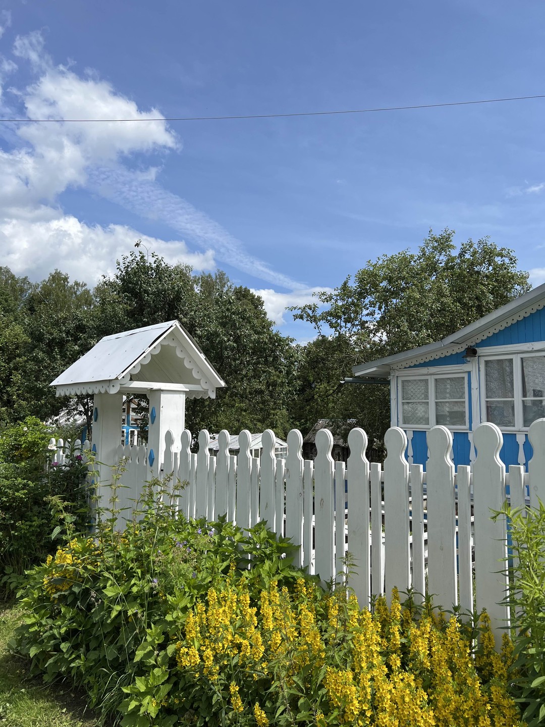 Старинная, уютная, талантливая Таруса (Марина)