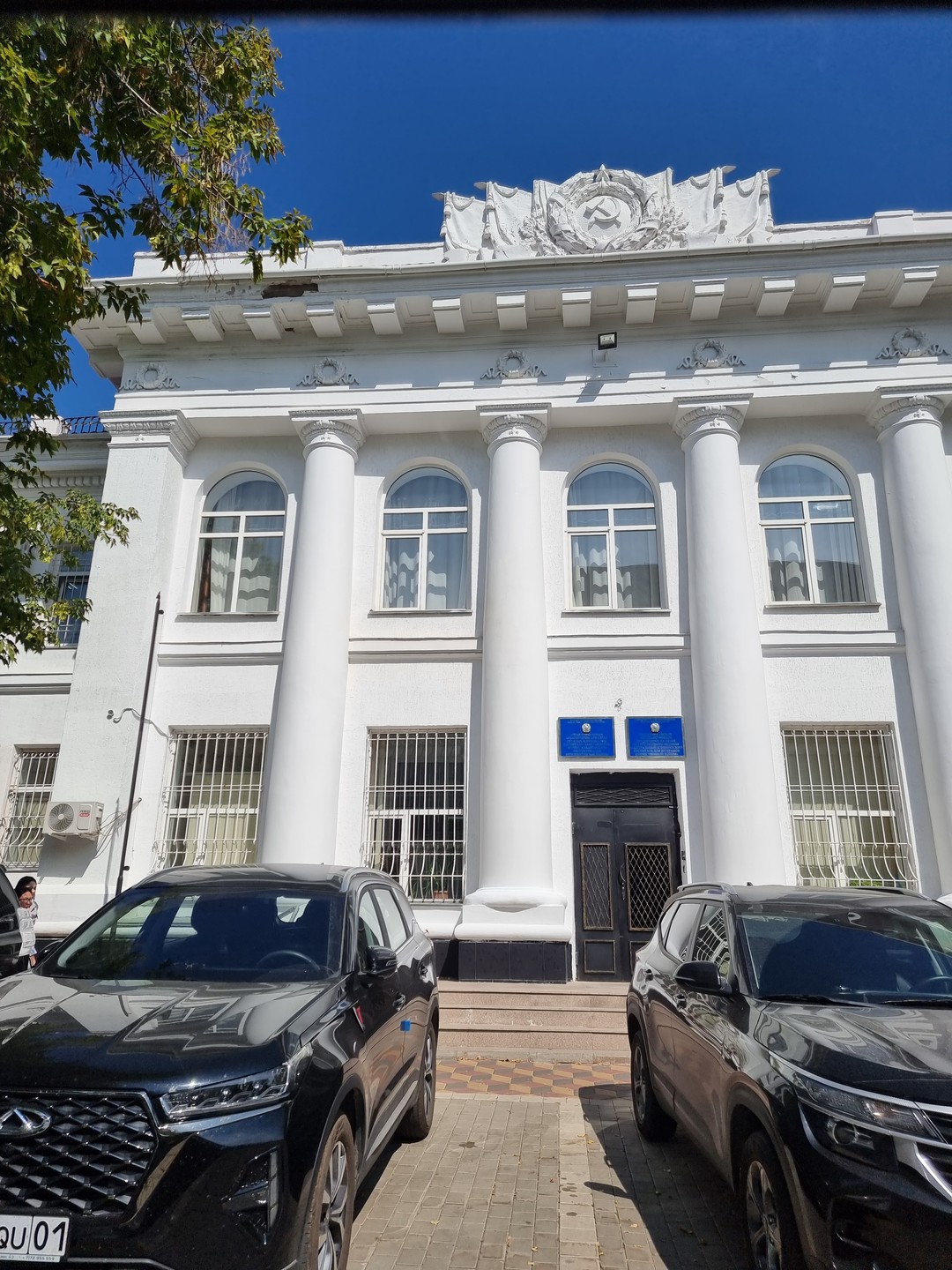 Купеческий Акмолинск (Радик)
