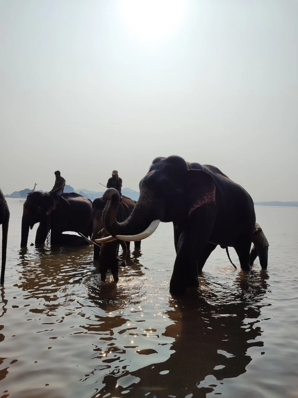 В целом, экскурсия понравилась. Дорога была достаточно легкой и на комфортабельных автомобилях. Посетили интересные и живописные