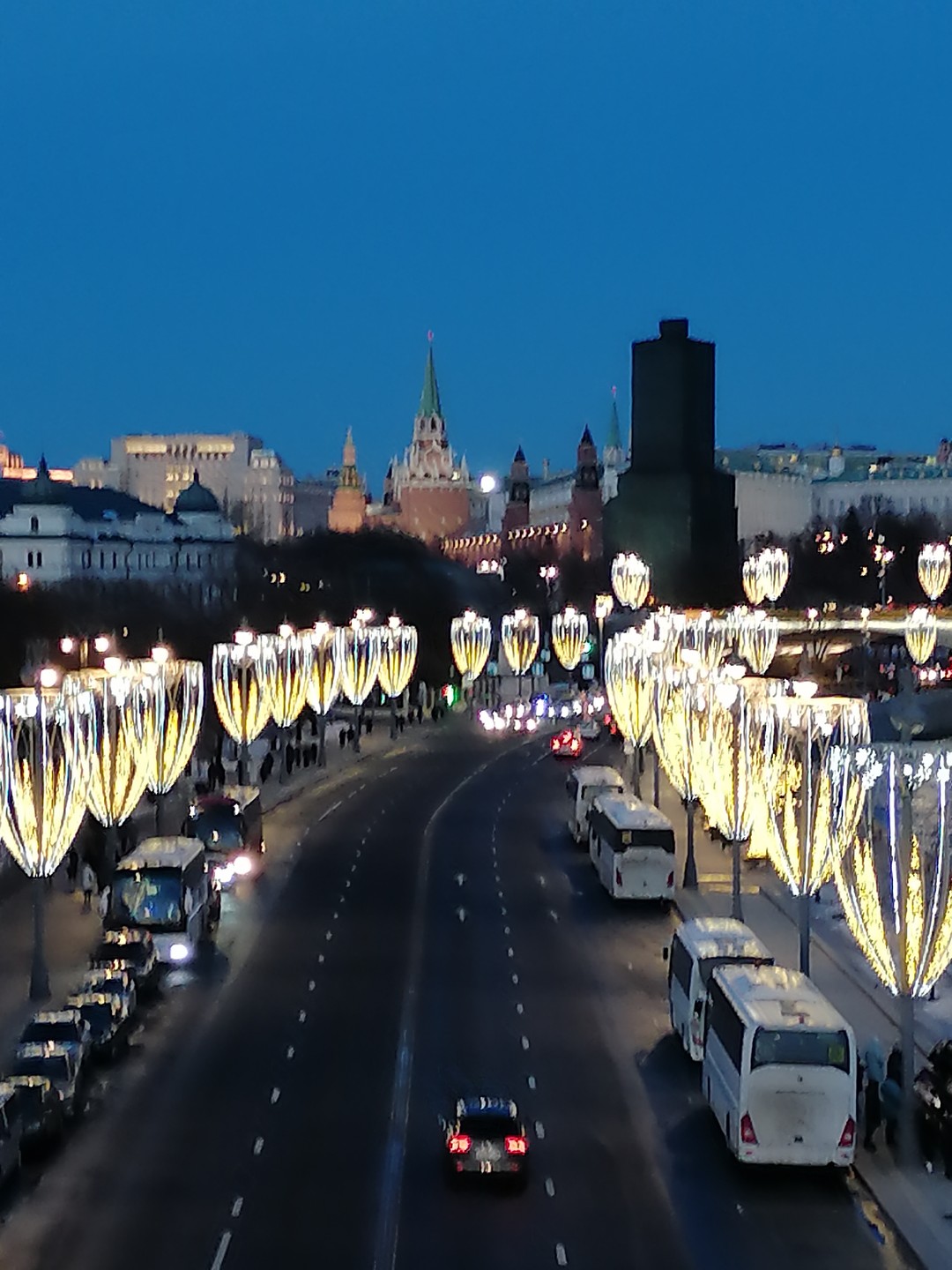 Новогодняя Москва: автобусная экскурсия (Светлана)