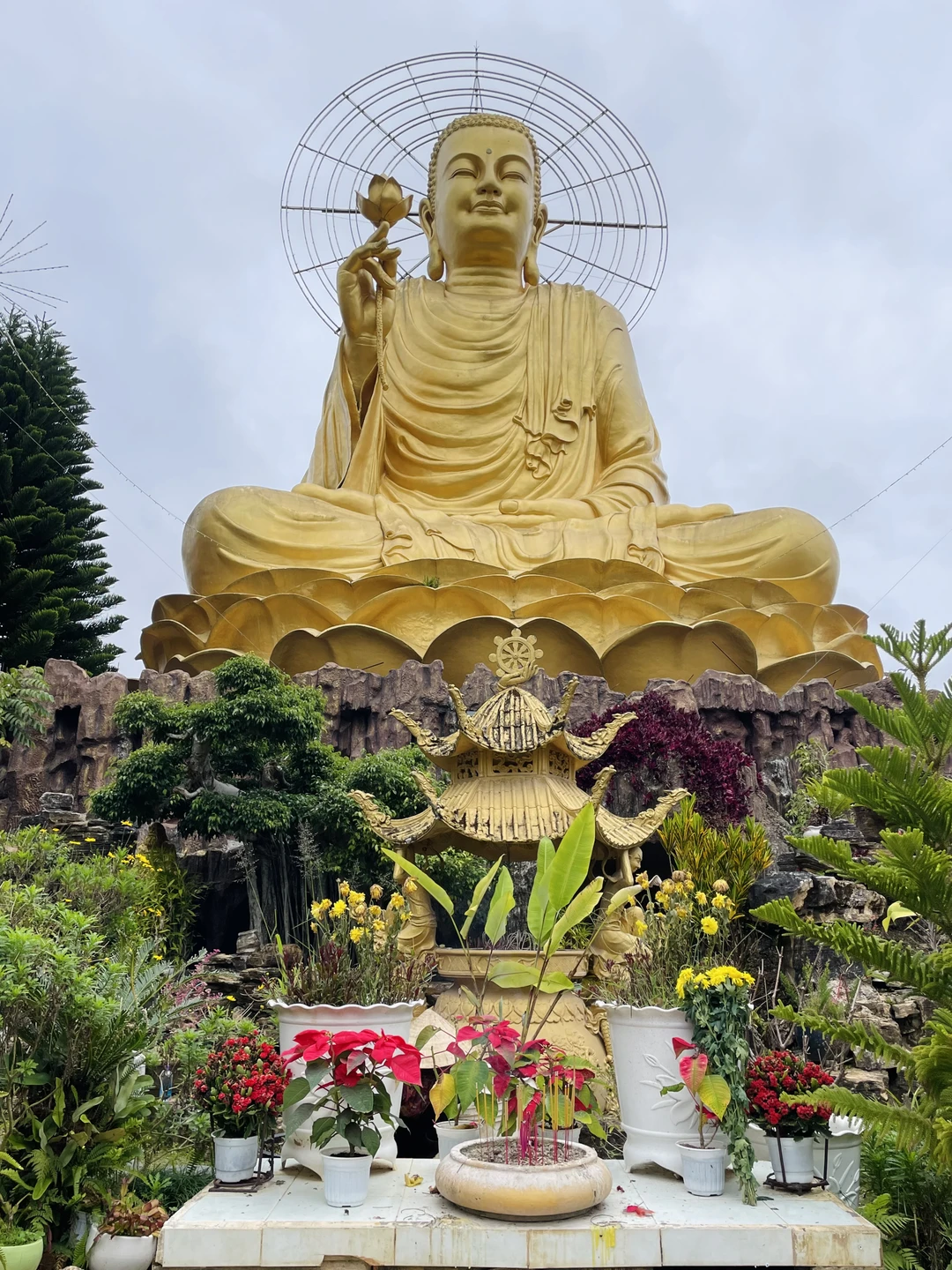 Групповая экскурсия из Нячанга в Далат (Ирина)