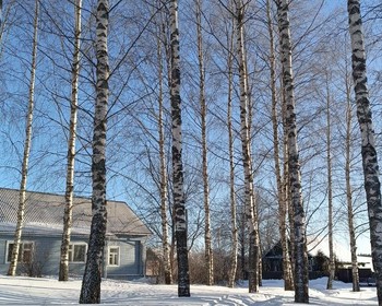 Лазертаг и прогулка
