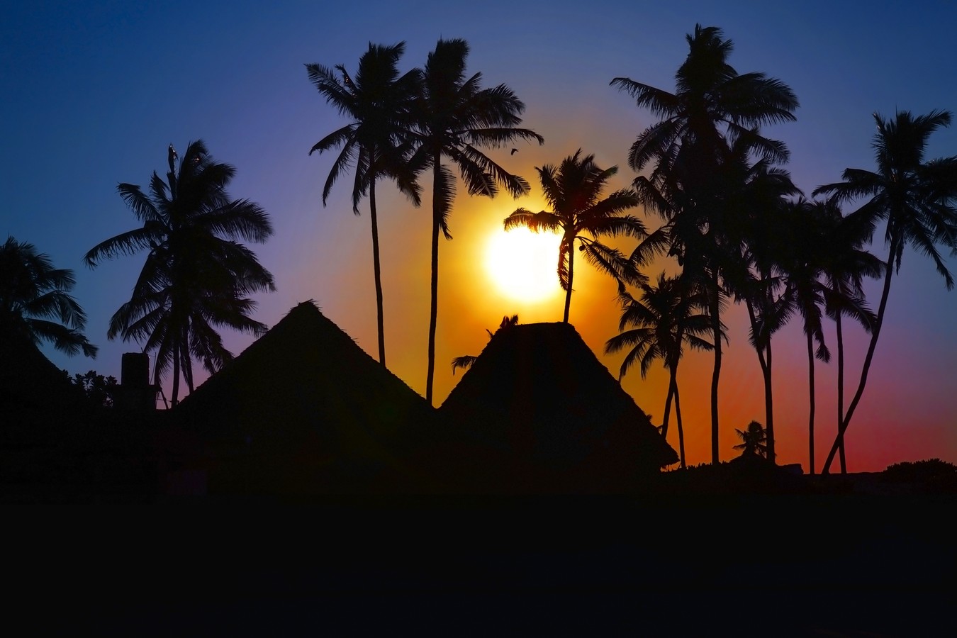 Хакуна Матата! Ныряем в ночную жизнь Стоун Тауна