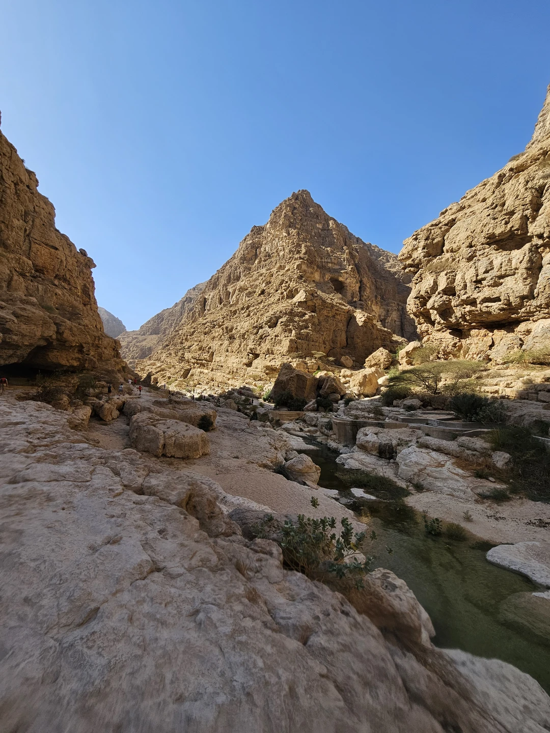 Мы заказывали индивидуальную экскурсию "Самый лучший день в Омане". Действительно, экскурсия соответствует своему названию! Маршрут был