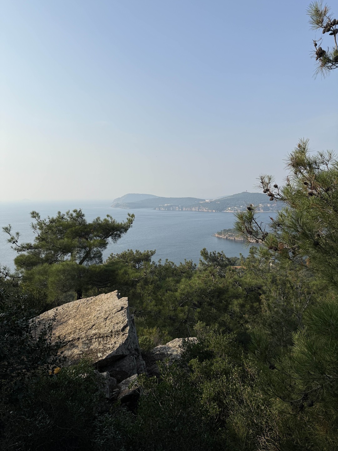 04.11.2025 мы посетили экскурсию с Диной на Принцевых островах и вспоминаем ее до сих пор