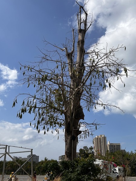 Столько эмоций сколько осталось у нас после данной экскурсии, невозможно даже описать. Мы очень благодарны за