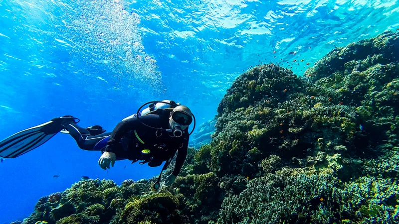 По Красному морю - на дайверской яхте