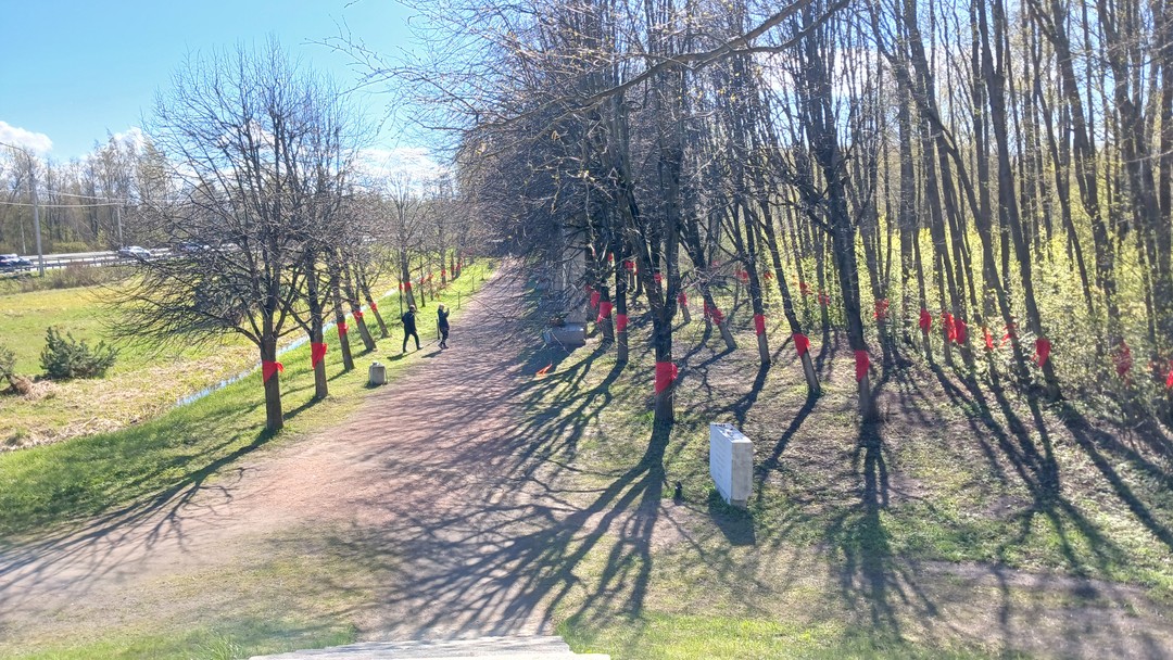 Экскурсия проведена на высоком уровне. Экскурсовод Дмирий - настоящий знаток истории, прекрасный рассказчик. Огромное спасибо!