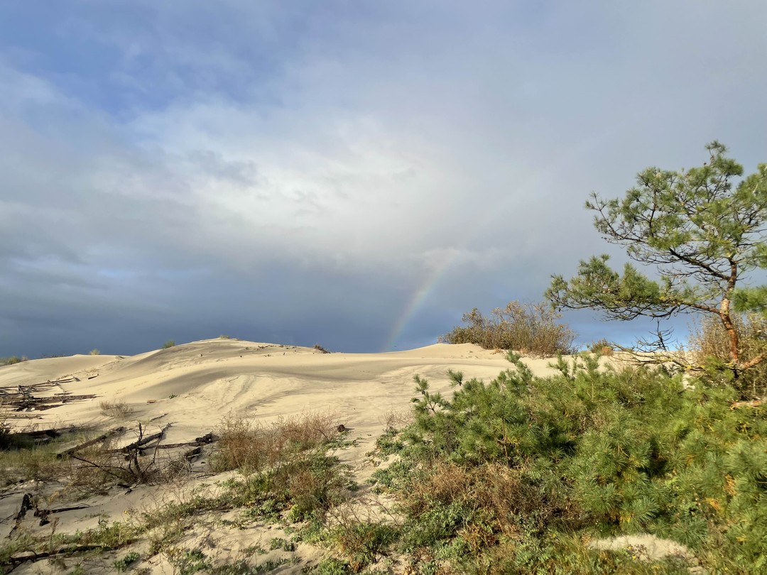 Очень классная экскурсия ❤️в неспешном ритме и с удовольствием посмотрели красоты Куршской косы 🤗