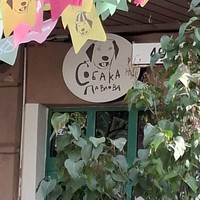 reviews img