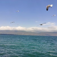 reviews img
