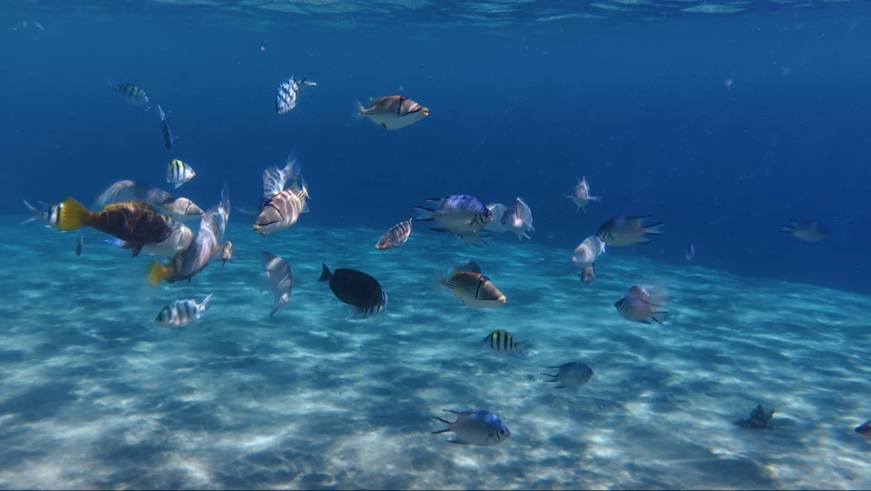 Огромное спасибо девушкам-организаторам Алисе и Наталье. Алиса проконсультировала по всем вопросам, Наталья провела замечательную экскурсию в