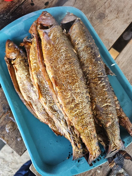 Благодарим гида Владимира за организацию нашей зимней рыбалки!