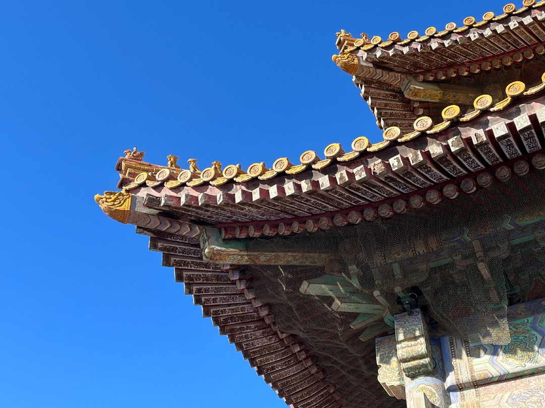 Обсуждали многое, а вся история и культура Китая сосредоточены в Пекинском дворце. Эти здания действительно очень