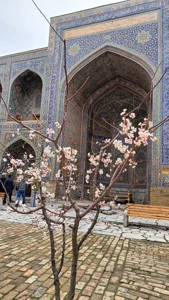 Экскурсия с Фаридой прошла на 100 из 10!!! Это самый заботливый и прекрасный человек и очень