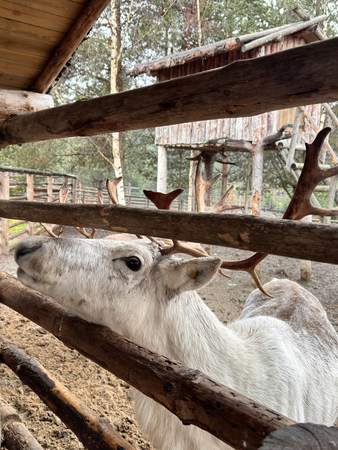 Супер насыщенный, чудесный тур♥️