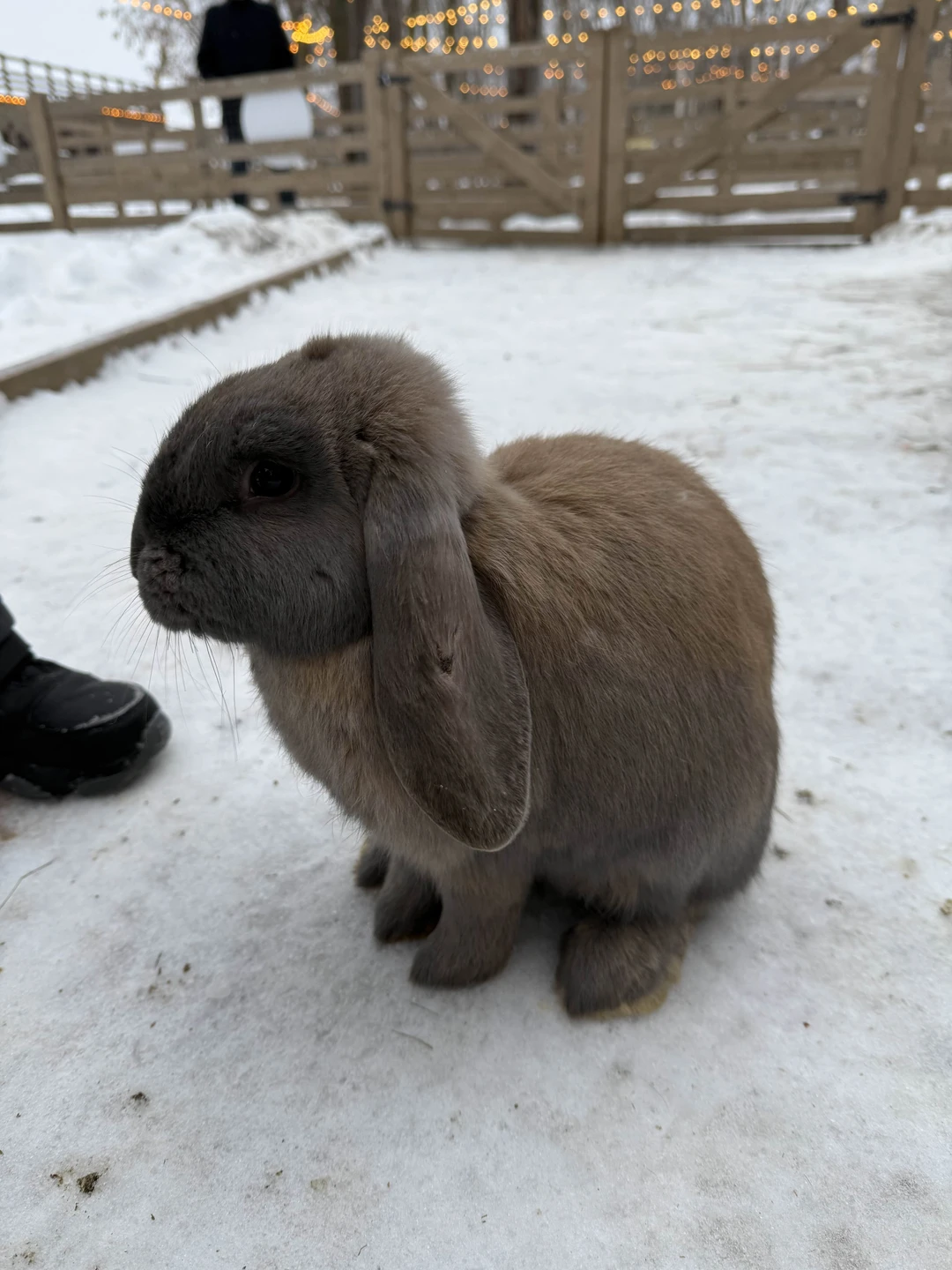 Мы благодарим команду в лице Владислава за прекрасную экскурсию! За интересную и содержательную прогулку по острову!