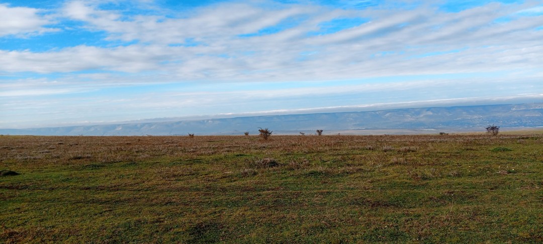 Были на конной прогулке с мужем 28го сентября