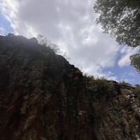reviews img
