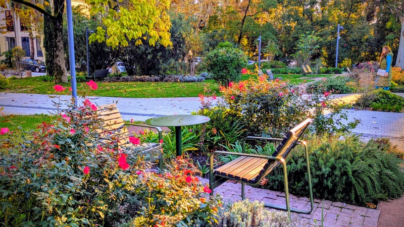 Пешком по Сочи - с коренным сочинцем