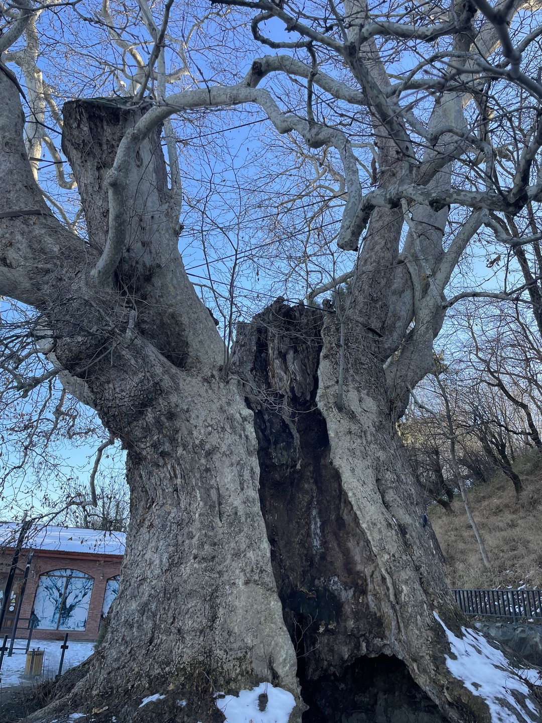 Большое спасибо гиду Джимми и водителю Робби за прекрасную экскурсию. Экскурсия была очень информационный, запоминающейся, колоритная.