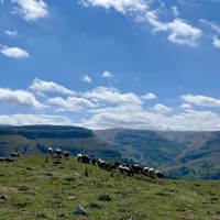 Фото отзыва 3: экскурсия "Индивидуальная конная прогулка вдоль Берёзовского ущелья"