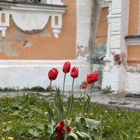 reviews img