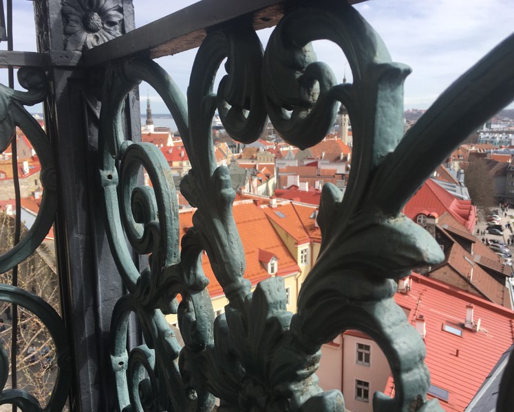 Фотопрогулка по старинному Таллину