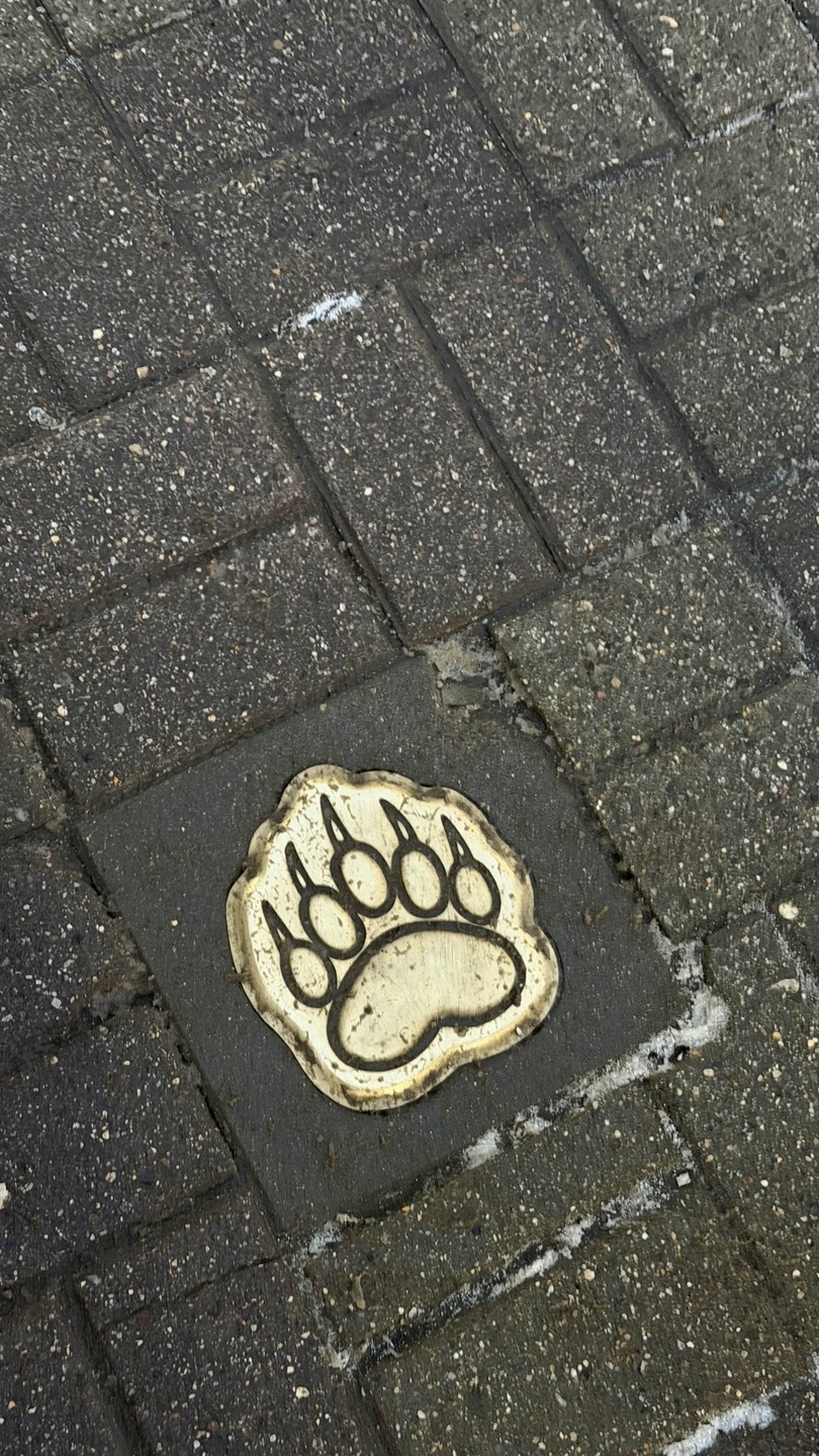 Ярославль - первое знакомство (Алёна)